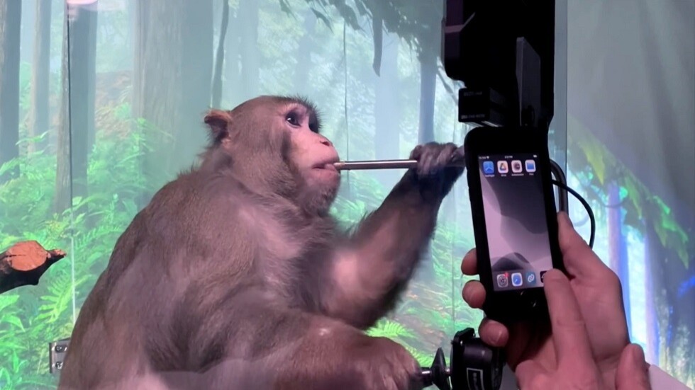 الكونغرس يطالب بالتحقيق مع ماسك بعد 