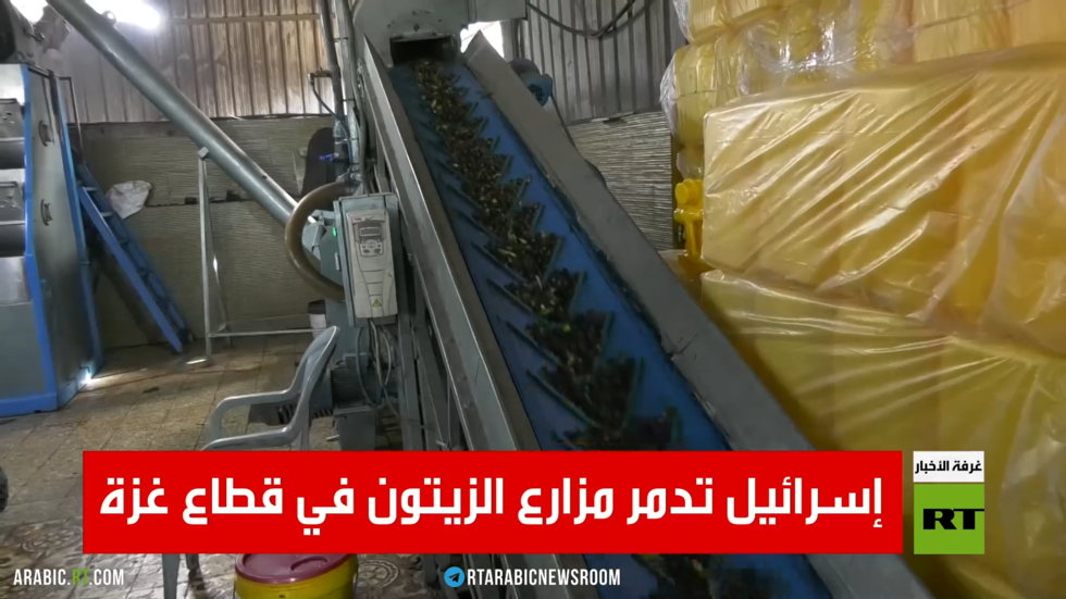 إسرائيل تدمر مزارع الزيتون في قطاع غزة