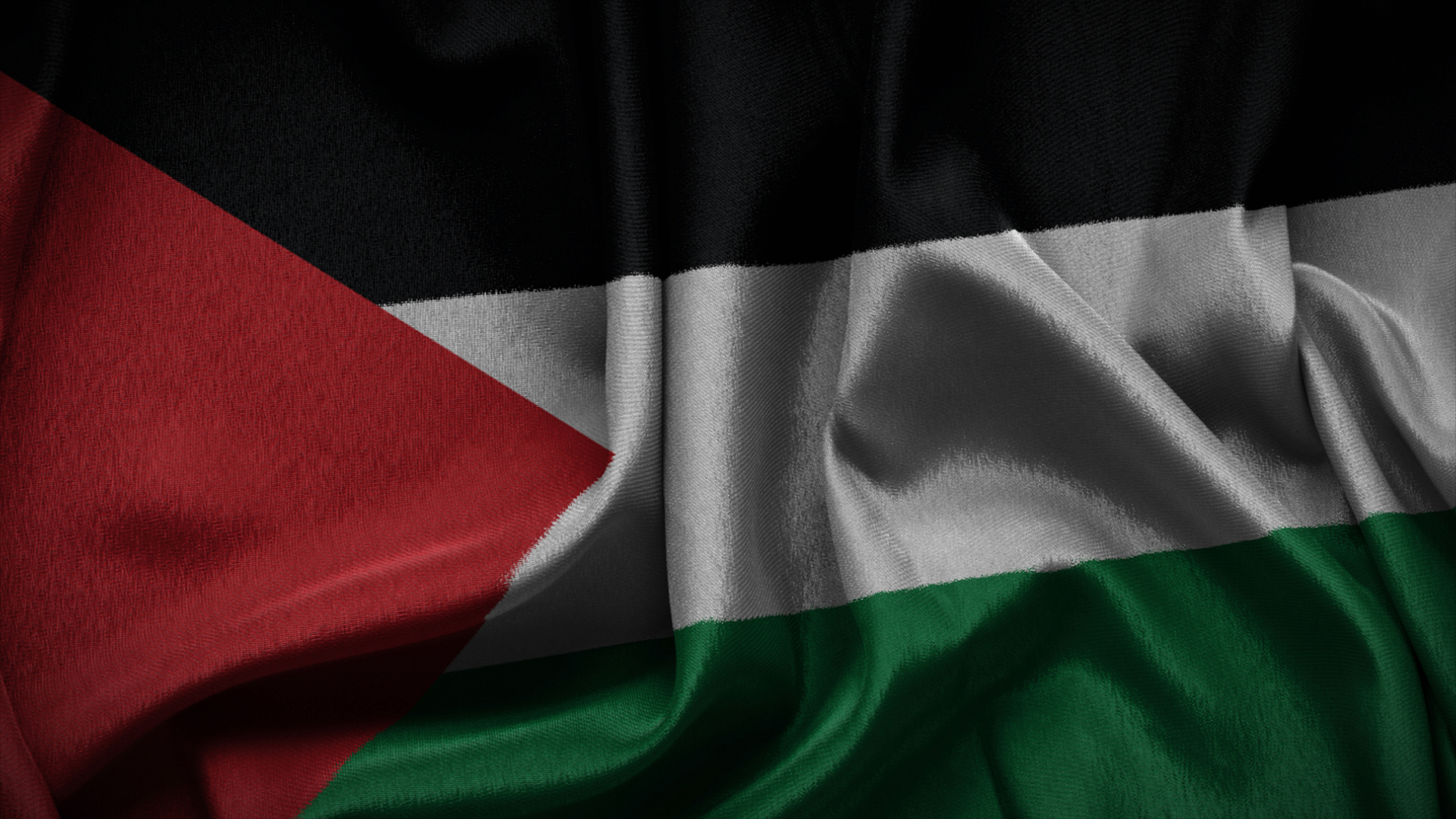 علم فلسطسن