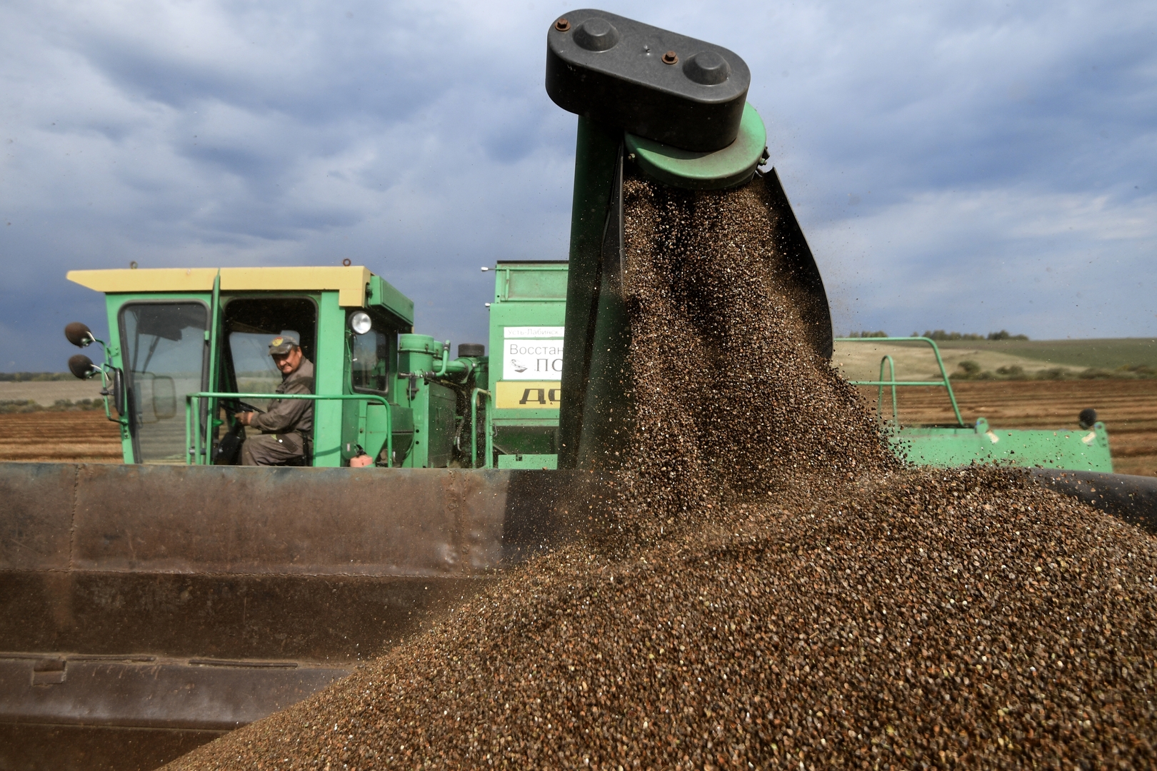 وزير الزراعة الروسي يعلن تسجيل المحاصيل رقما قياسيا جديدا