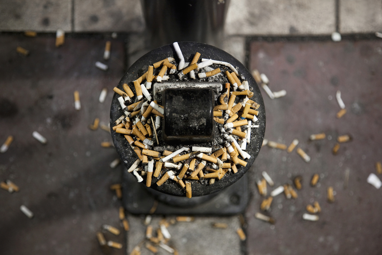ما حجم الخسائر السنوية التي يسببها التلوث البلاستيكي الناتج عن أعقاب السجائر؟!