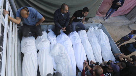 وزيرة الصحة الفلسطينية: لم يسمحوا بدفن الموتى.. كلاب ضالة نهشت الجثث في ساحة مجمع الشفاء