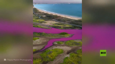 مياه بركة في هاواي تتحول إلى اللون الوردي