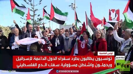 تونس.. متظاهرون يطالبون بطرد سفراء الغرب