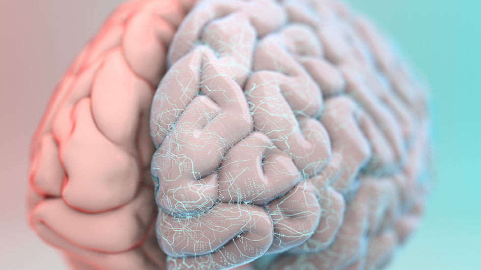 بشهادة المشاركين.. عملية زرع دماغية تحقق نجاحا ساحقا!