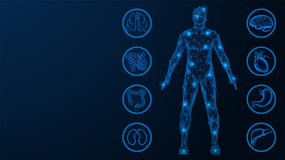 إيجاد طريقة لتحديد العمر البيولوجي لأعضاء الجسم والتنبؤ بخطر المرض والموت