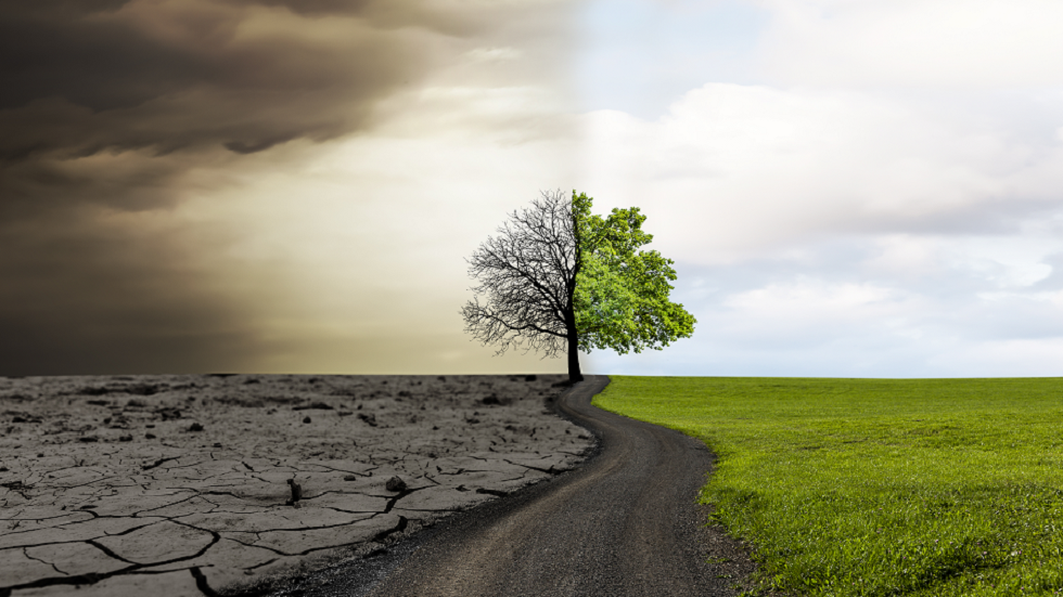 هل سيكون عام 2024 