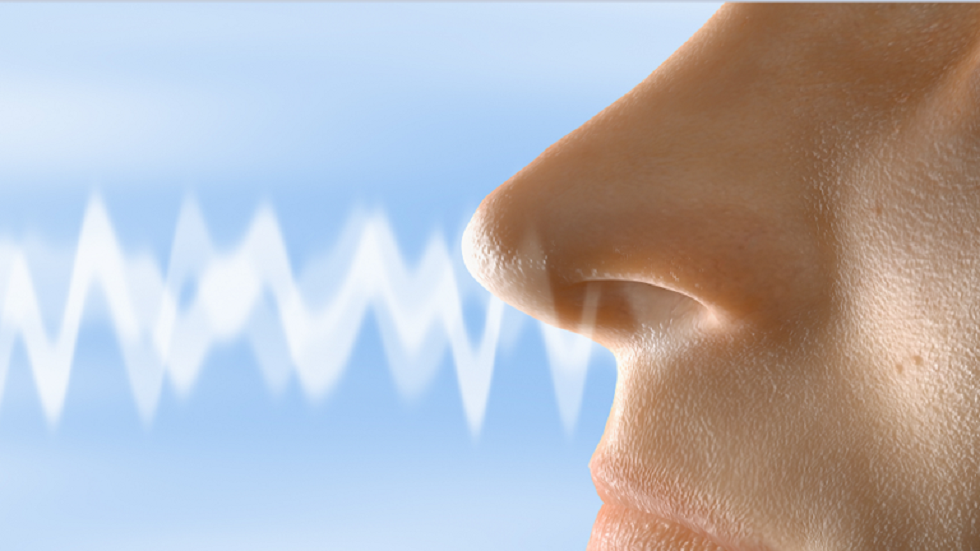 هل يضر تنفسنا بالبيئة حقا؟!