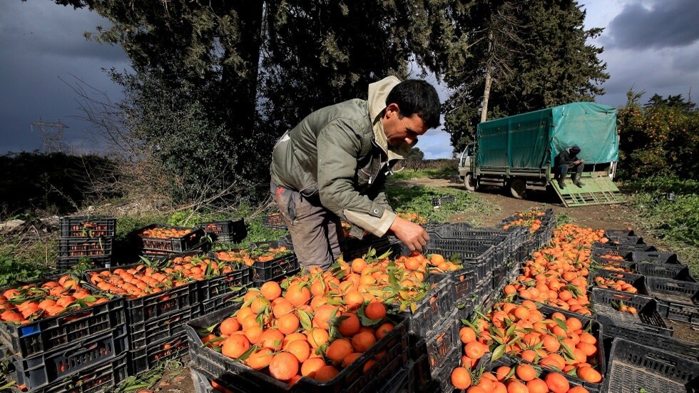 الجزائر.. موازنة 2024 تتضمن نفقات بـ110 مليارات دولار وبنودا حول السكن والدخل