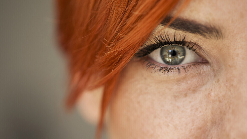 أعضاء في الجسم 