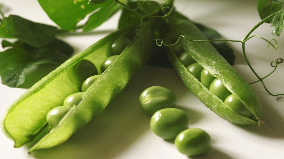 خبيرة تغذية توضح تأثير 