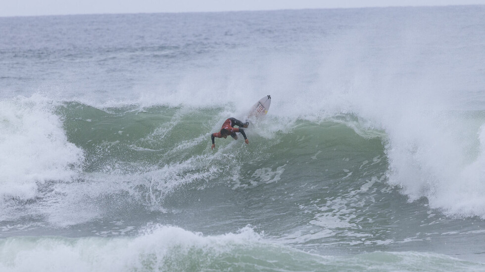 وفاة راكب أمواج بعد "مواجهة" مع سمكة قرش في ولاية هاواي الأمريكية