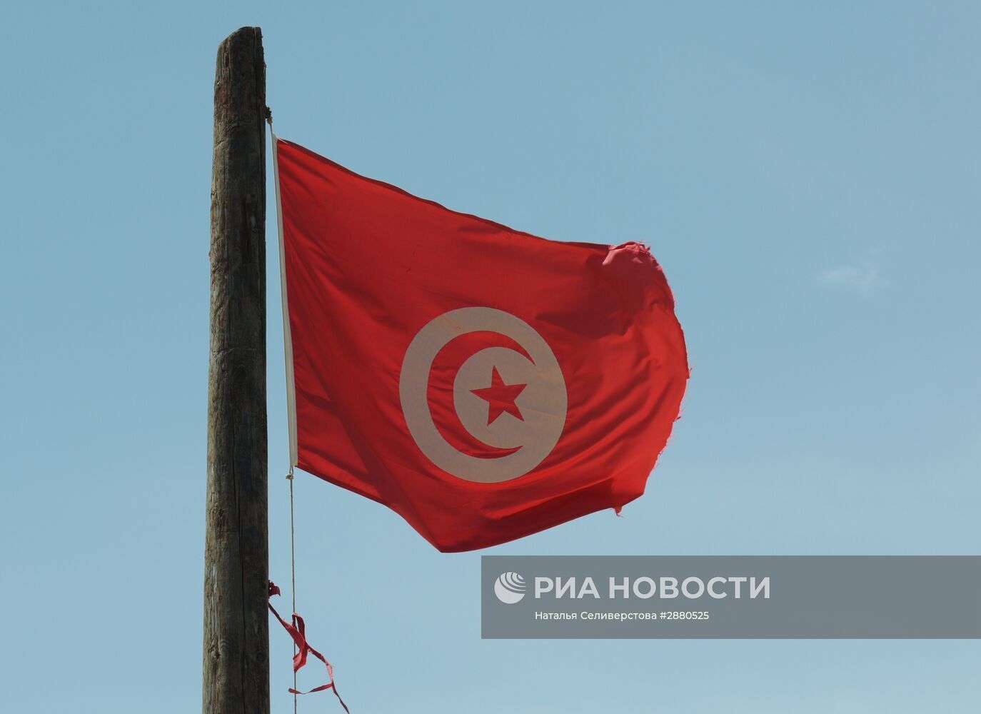 بطلب من السلطات التونسية.. تأجيل زيارة وفد صندوق النقد