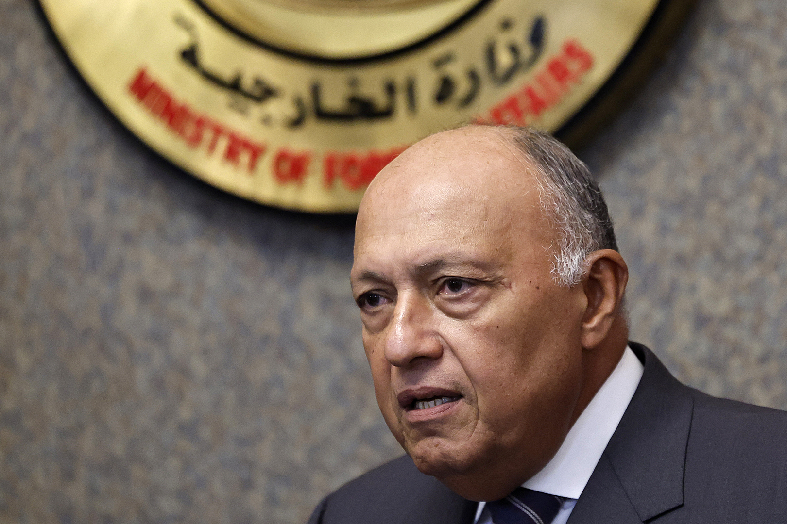 وزير الخارجية المصري: الإخوان المسلمون كتنظيم 
