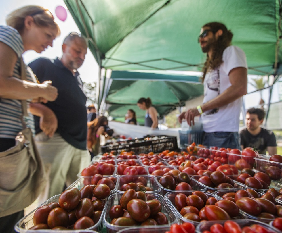 يديعوت أحرنوت: إسرائيل استوردت 500 طن طماطم من الأردن و700 من تركيا الأسبوع الماضي