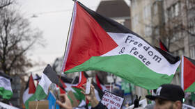 40 تظاهرة في مدن فرنسية منددة "بالإبادة الجماعية" في غزة ومطالبة بوقف دائم لإطلاق النار (فيديو)