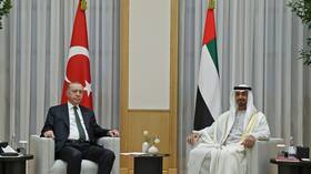 أردوغان خلال اتصال مع الرئيس الإماراتي: من المهم إيقاف إسرائيل بأسرع وقت
