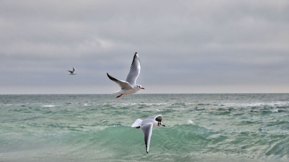 الدفاعات الروسية تدمّر صاروخا أوكرانيّا مضادا للسفن في البحر الأسود