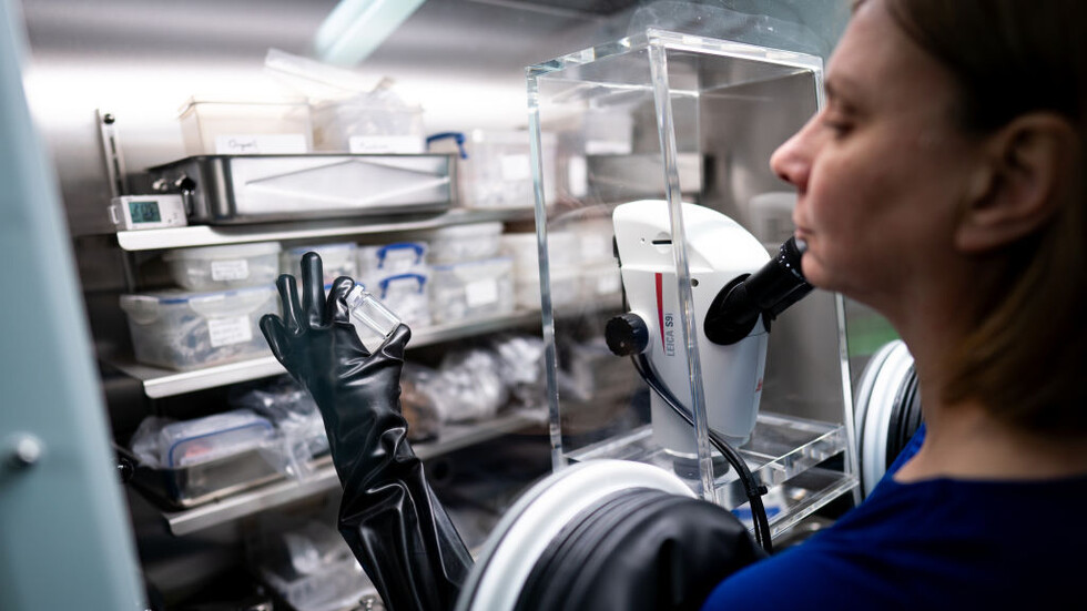 كلفتها مليار دولار .. ناسا تفتح كبسولة عينة كويكب يحتمل أن يضرب الأرض