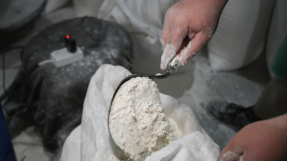 كبار مشتري الطحين الروسي.. في الصدارة دولة عربية