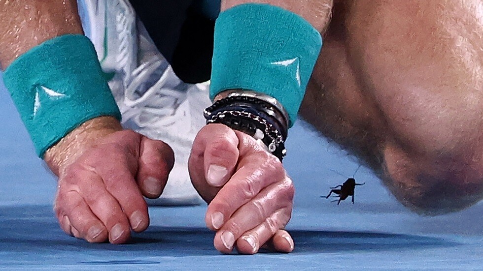 الروسي روبليوف 