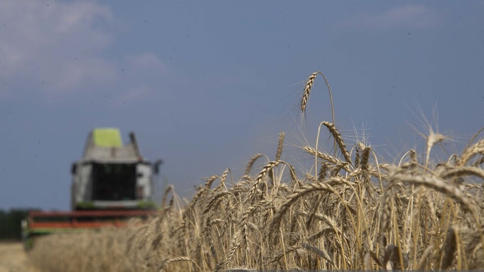 وزير الخارجية الفرنسي: 30% من صادرات الحبوب العالمية ستكون تحت سيطرة روسيا