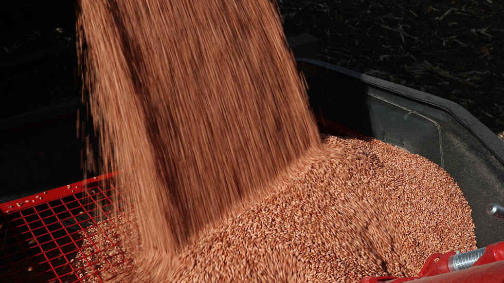 السفير الروسي لدى زيمبابوي: إمدادات الحبوب الروسية تؤكد موقف موسكو المسؤول تجاه إفريقيا