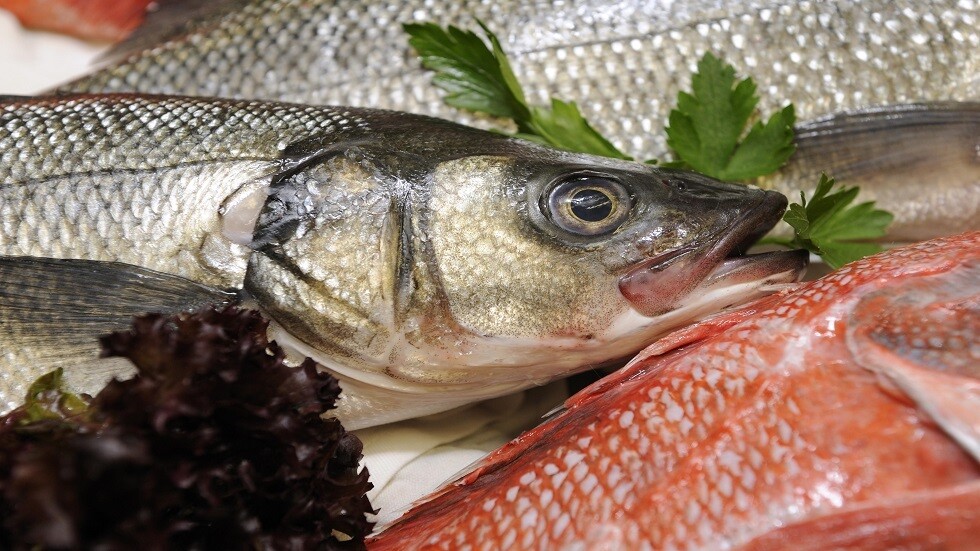 مواد غذائية تحسن عمل الغدة الدرقية