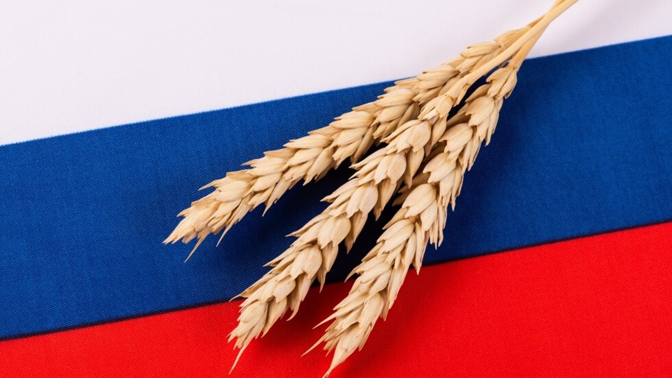 مجانا وبلا مقابل.. 25 ألف طن من القمح الروسي تُسلم إلى بوركينا فاسو  بتوجيه الرئيس بوتين