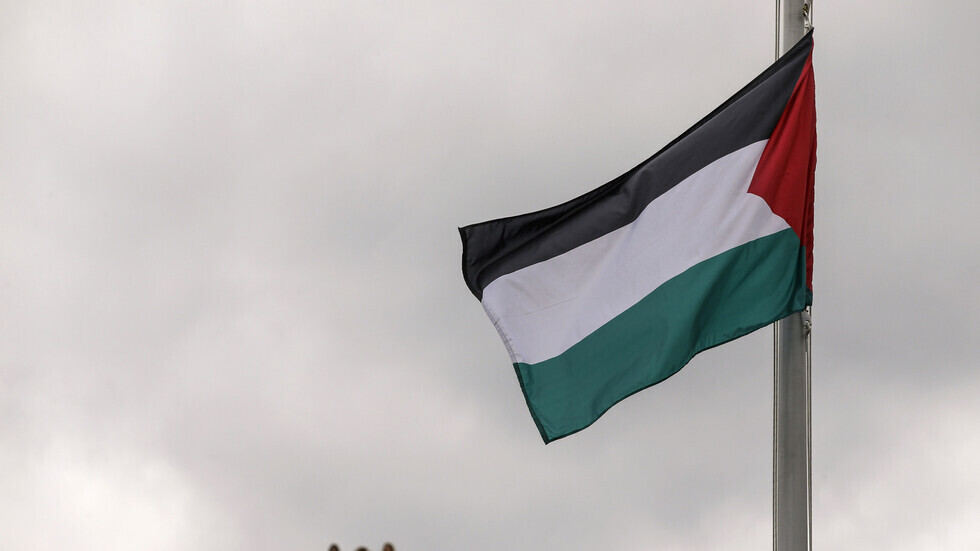 علم فلسطين - أرشيف -