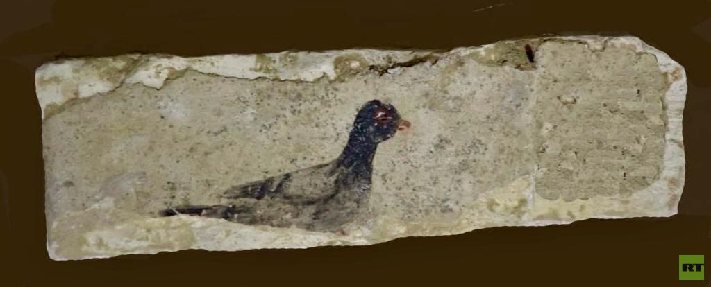 الكشف عن مقابر من العصر البطلمي والروماني في البهنسا بمحافظة المنيا المصرية (صور)