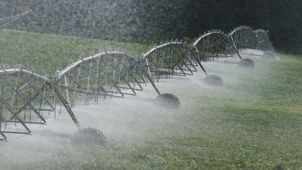 استنزاف المياه الجوفية يؤدي إلى انخفاض حاد في إنتاج الحبوب والبقول