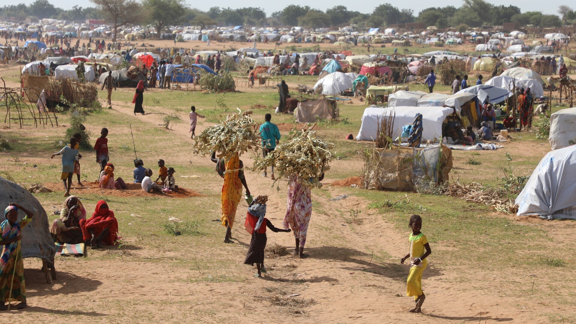 منظمة الهجرة الدولية: نزوح 7.7 مليون سوداني منذ بدء النزاع في بلادهم