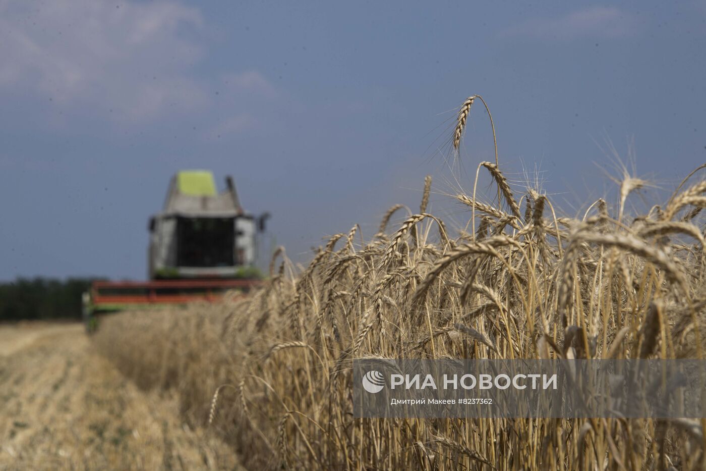 وزير الخارجية الفرنسي: 30% من صادرات الحبوب العالمية ستكون تحت سيطرة روسيا