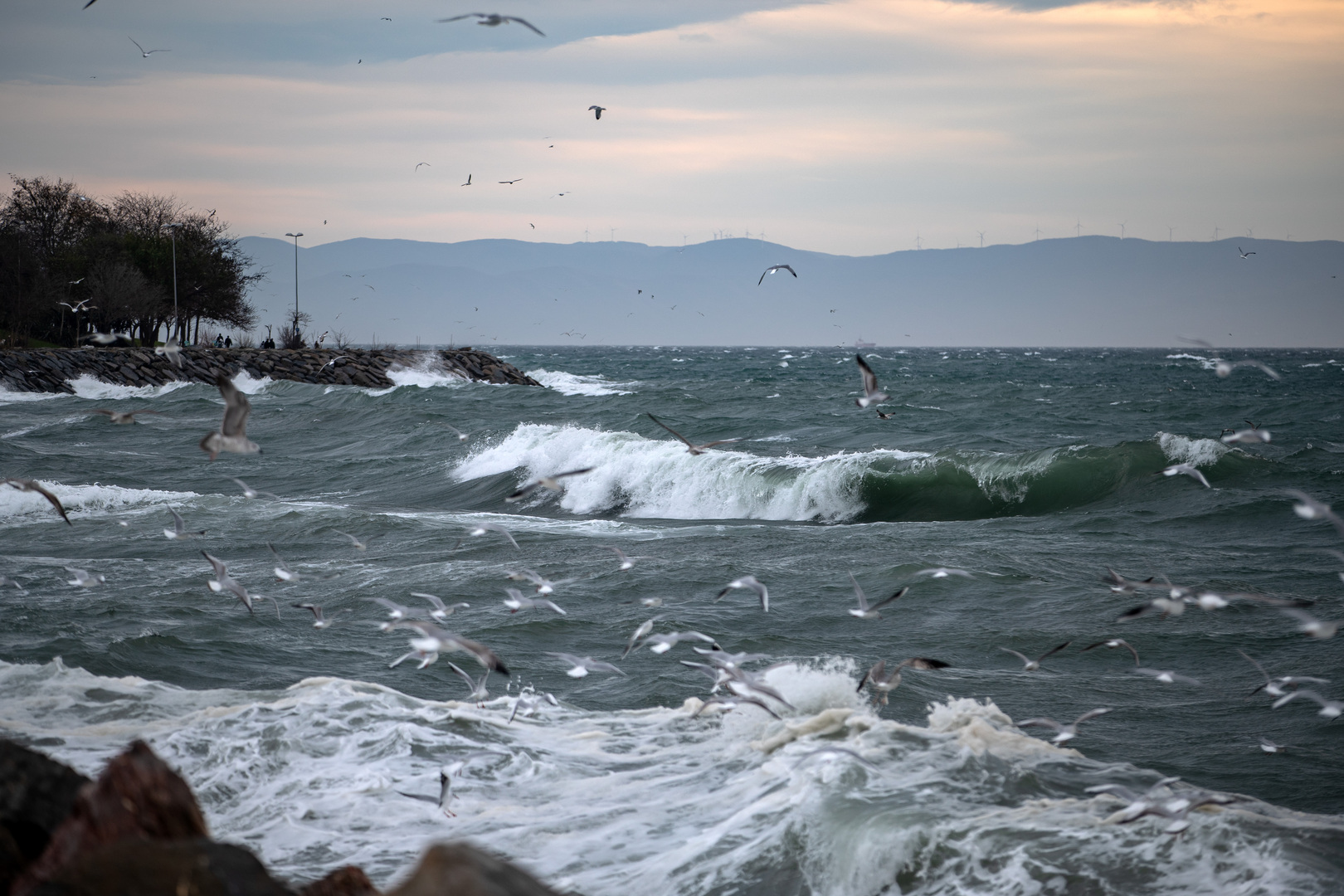 وسائل إعلام تركية: ارتفاع عدد الجثث التي تم العثور عليها في شواطئ تركية إلى 9