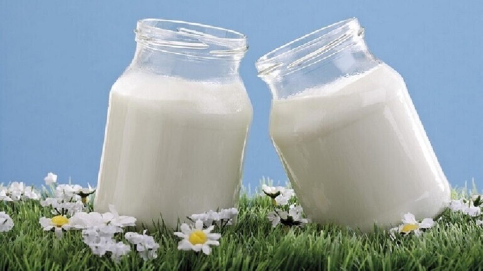 طبيبة: تناول منتجات الألبان المخمرة ليلا يؤدي إلى الإصابة بالسكري والسمنة