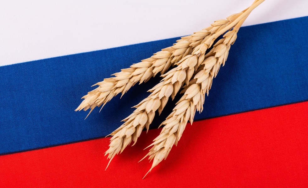 مجانا وبلا مقابل.. 25 ألف طن من القمح الروسي تُسلم إلى بوركينا فاسو  بتوجيه الرئيس بوتين