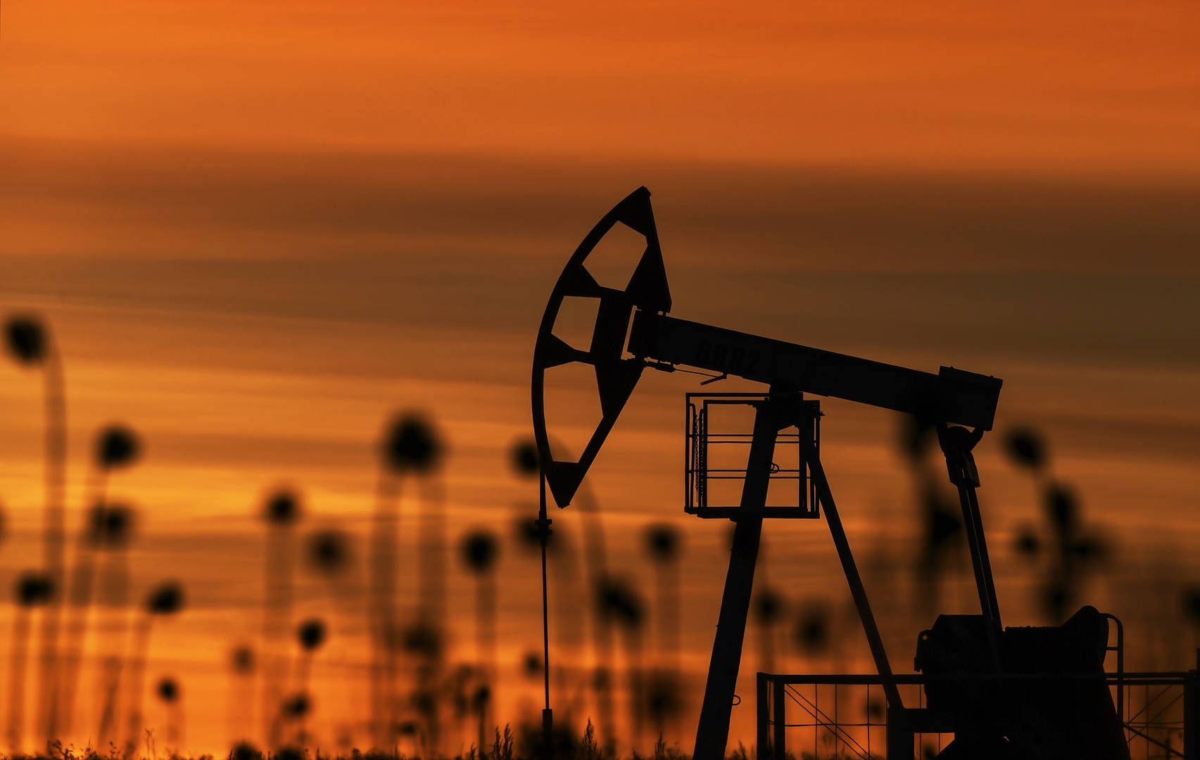 نوفاك يؤكد أن أسعار النفط الراهنة مناسبة ويكشف عن توقعاته لأسواق الطاقة في 2024