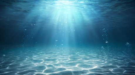 ماذا سيحدث لو اختفت جميع أسماك المحيط؟