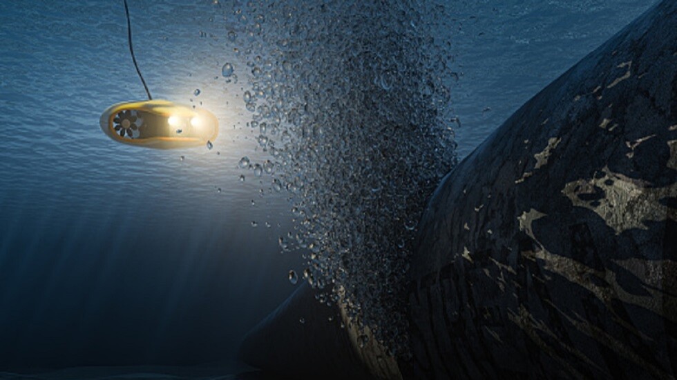 فولودين: السويد تتستر على تحقيقات 