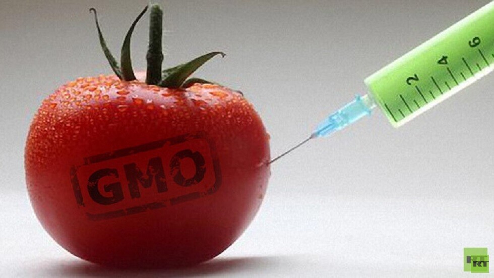 بين الخرافة والحقيقة.. ما تأثير المواد المعدلة وراثيا على الصحة؟