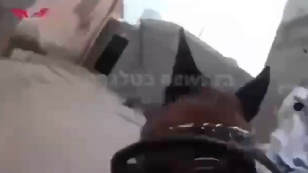 كلب بوليسي إسرائيلي ينهش يد شاب فلسطيني أثناء اعتقاله