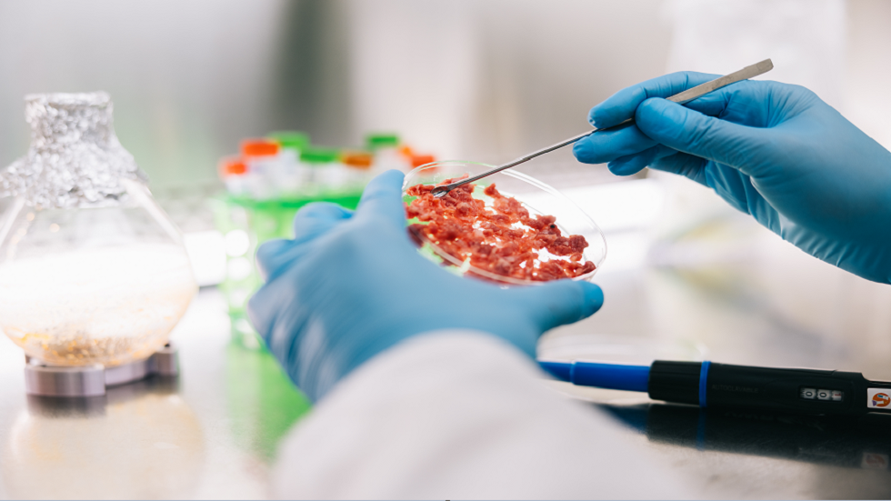 هل ستجربها؟؟.. وجبة 