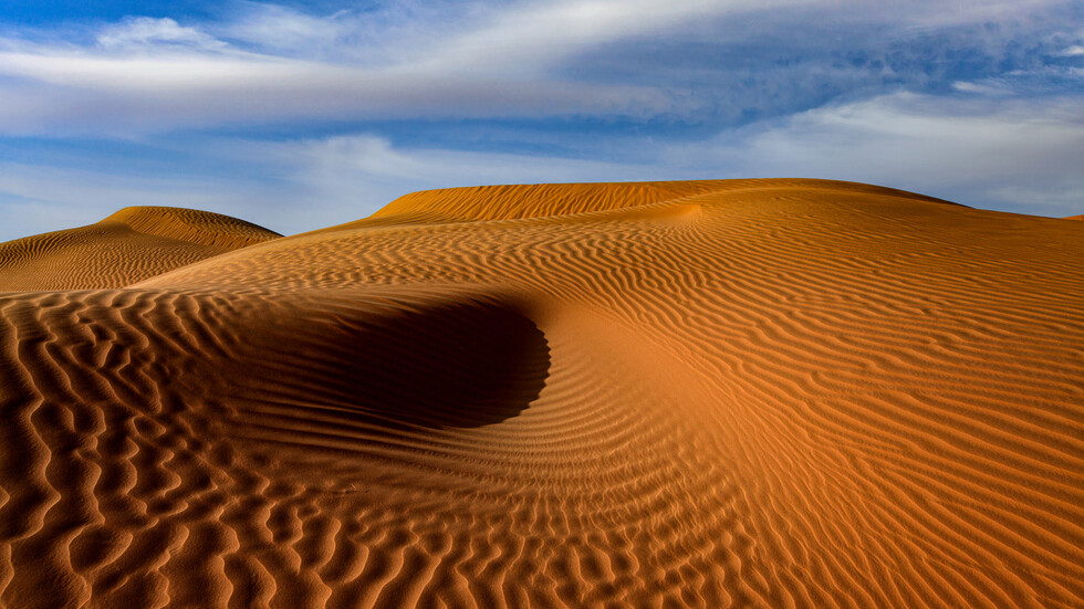 السعودية.. رصد القط الرملي في محمية الوعول لأول مرة (صور)