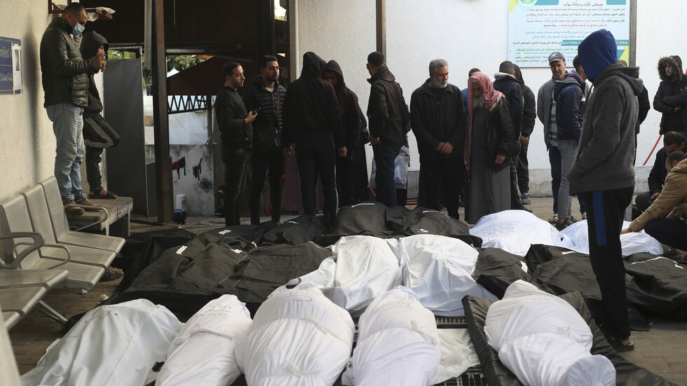 ارتفاع حصيلة القتلى في قطاع غزة إلى 29313  منذ بدء الحرب