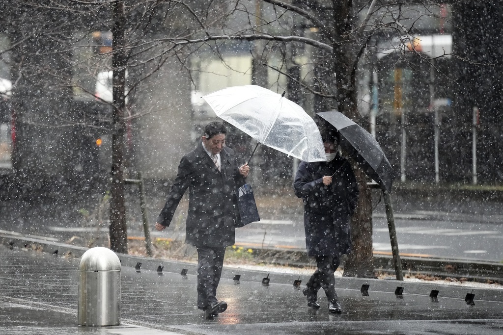 تسجيل درجات حرارة قياسية لشهر مارس في اليابان