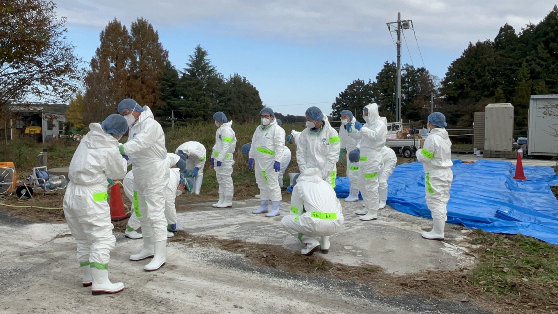 محافظة يابانية تعلن نيتها إعدام نحو 110 آلاف دجاجة بسبب تفشي إنفلونزا الطيور