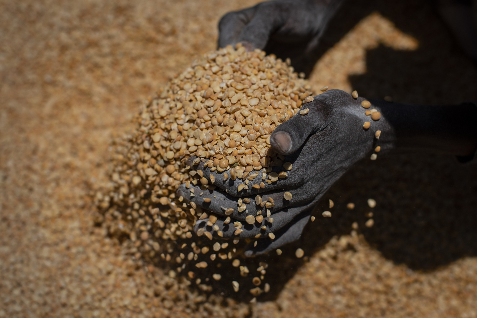 برنامج الأغذية العالمي يسعى لوصول مساعداته إلى 3 ملايين إثيوبي يعانون الجوع