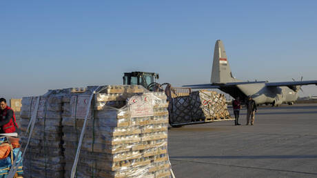 هبوط حوالي 600 طائرة مساعدات الإنسانية لغزة في مصر منذ بدء التصعيد