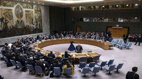 أ ف ب: اجتماع لمجلس الأمن الدولي الإثنين حول الضربات الأميركية في العراق وسوريا